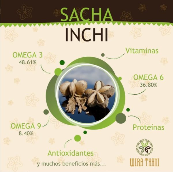 ¿Qué es el Sacha Inchi? Agroindustriasg2